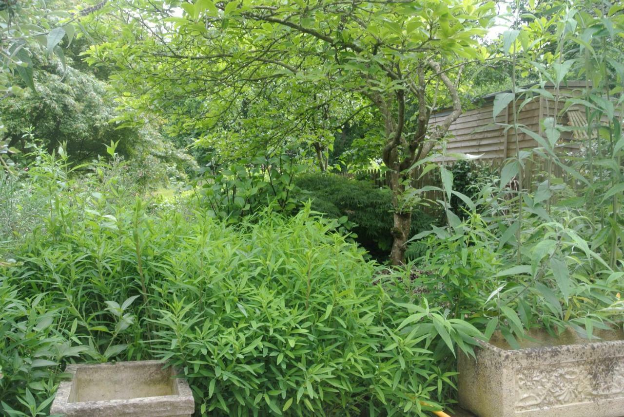 Higher Brockwell Annexe Wootton Courtenay المظهر الخارجي الصورة